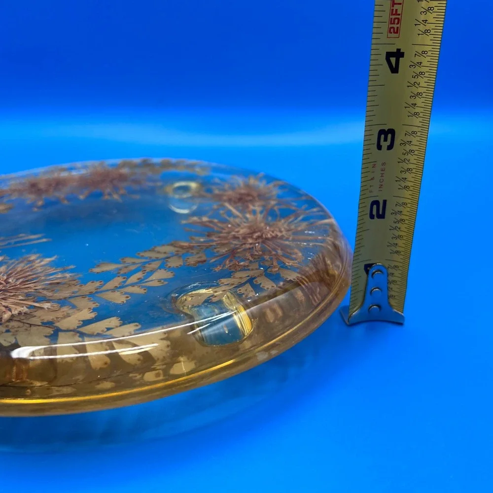 Vintage Lucite Trivet Real Dried Flowers Ferns Resin Hot Plate Clear Brown 7.5in